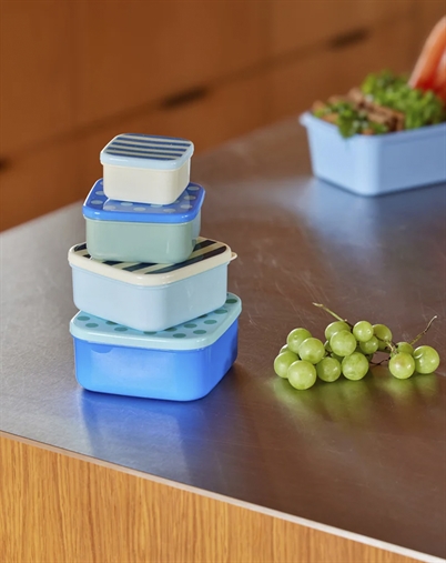 Plastic Food Boxes with Stripe